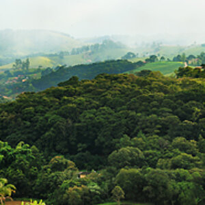 Pano Socorro kl web