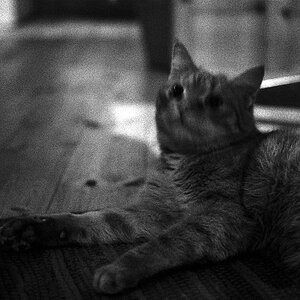 neg 06 beab