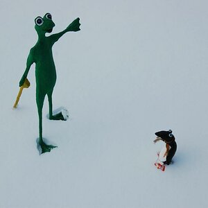 Wo geht`s zum Nordpol?