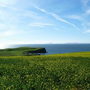 Schottland4