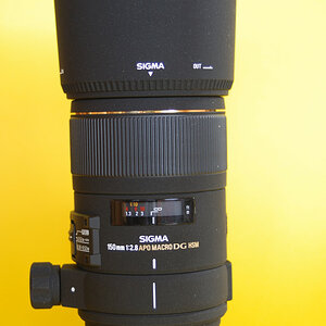 Sigma 150 2.8 Macro