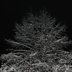 kalte Winternacht
