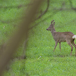 März 2010