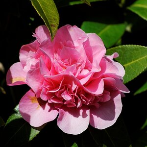 image042