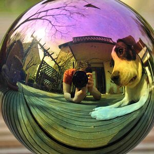 Fisheye