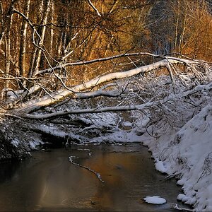 acomp winter rissen 0432