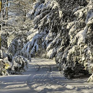 acomp winter rissen 0870