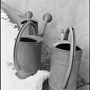 Neg2010 199