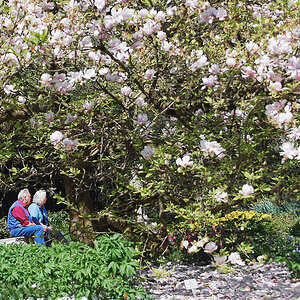 2090418 6607a 1000 Frühling BotGa Linz