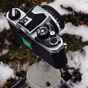 FM2 auf Wanderschaft