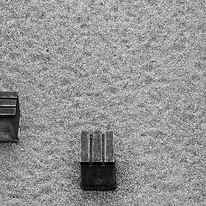 DSC 1911 Sig
