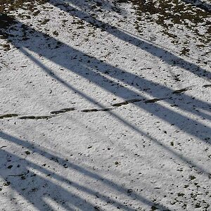 Spuren im Schnee
