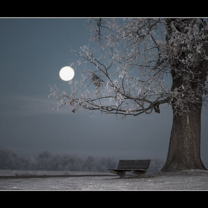 20090111084152 9405 g1000x667x280kb