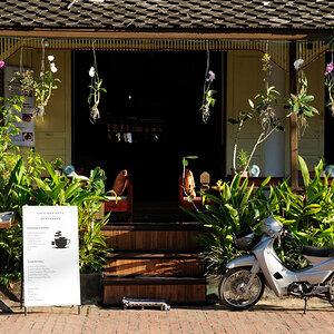 Straßenszene, Luang Prabang