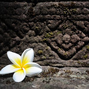 Wat Phou