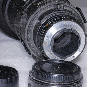 Der "Kellerfund":
Ein AF 300/2.8 ED Nikkor und ein TC-14B,
stark verpilzt.