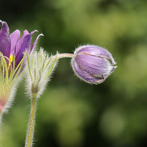 20100417 110524