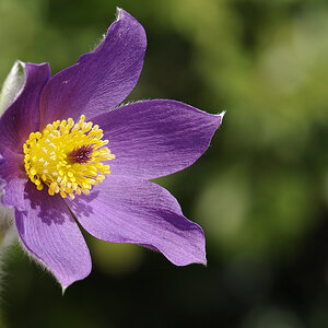 20100417 110307