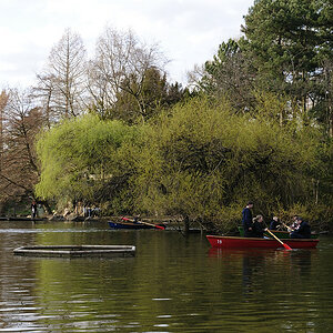 DSC3675 NF F
Palmengarten Frankfurt