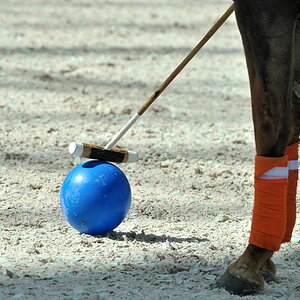 01 20100425 152627 airport polo
