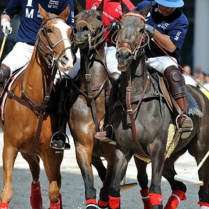 05 20100424 151143 airport polo
