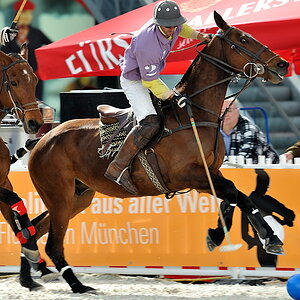06 20100423 163829a airport polo 01