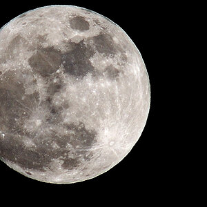 mond novoflex600 1