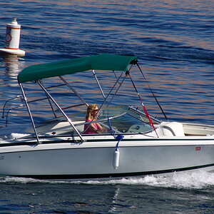 Bild36