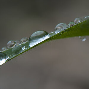 MOT6645