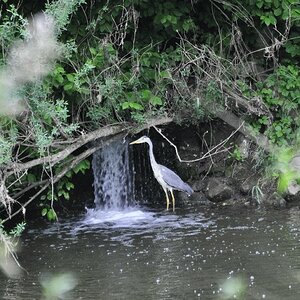 Versteck am Neckar
