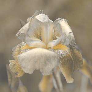 DSCF0435sw