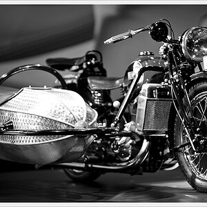DSC3624 nff