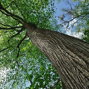 20100430 133635 nymphenburg