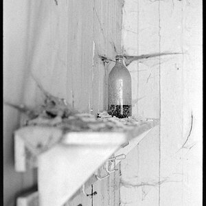 Neg2010 519