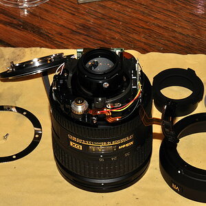 Ein AF-S DX 16-85/3.5-5.6G VR Nikkor hat keinen großen direkt antreibenden SWM, sondern nur einen kleinen mit Getriebe.