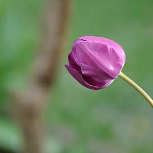 DSC1509

Samyang 85/1.4 @ 1.4 1/1000 ISO 200