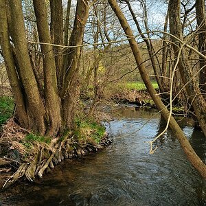 comp DSC 5633