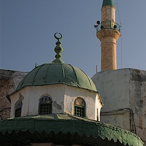DSC 8520