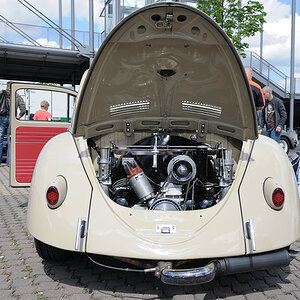 DSC1546