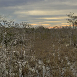 DSC3075 6 9 tonemapped NF-F
Everglades