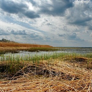 Usedom 00