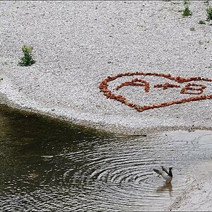herz an der isar 2W