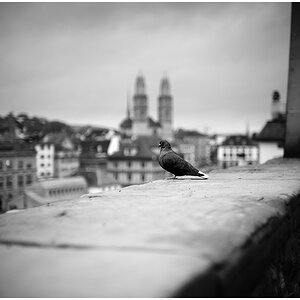 Zürich_I