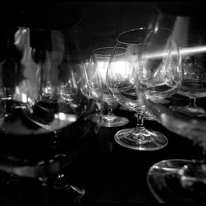 Neg2010 727