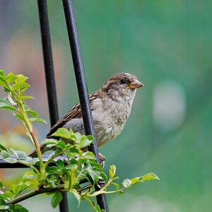 image108