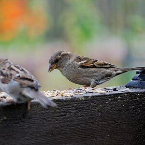 image111