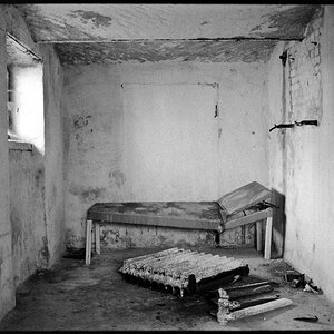 Neg2010 538