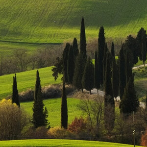Ausschnitt bei Pienza