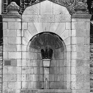 DSC 2261