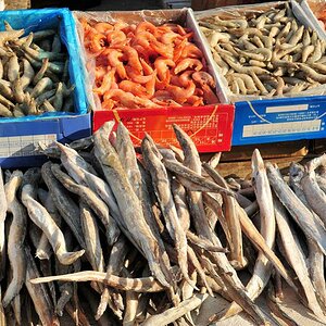 Markt in Huanan
bei -20°C braucht es keine Tiefkühltruhe
(9802)
